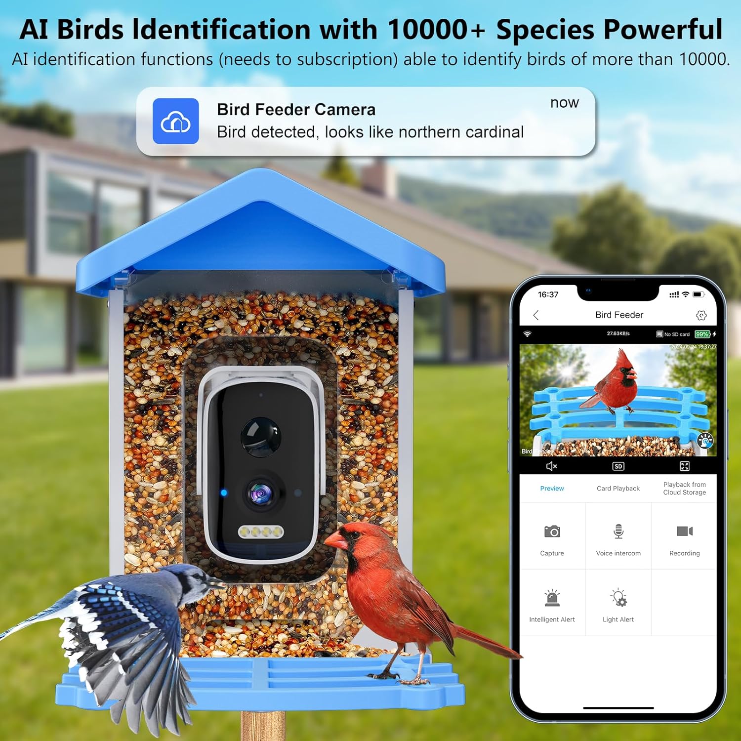 Smart Garden Ai - Умная кормушка для птиц с камерой,