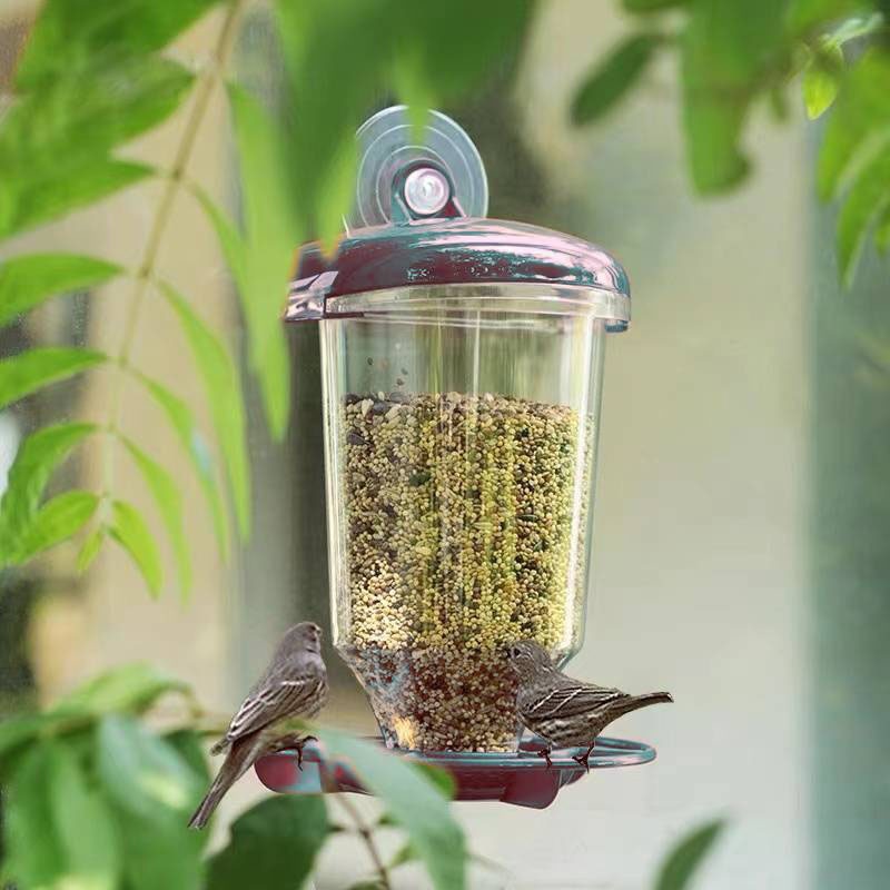 Smart Bird Feeder Camera - Подвесная кормушка для птиц, прозрачная пластиковая