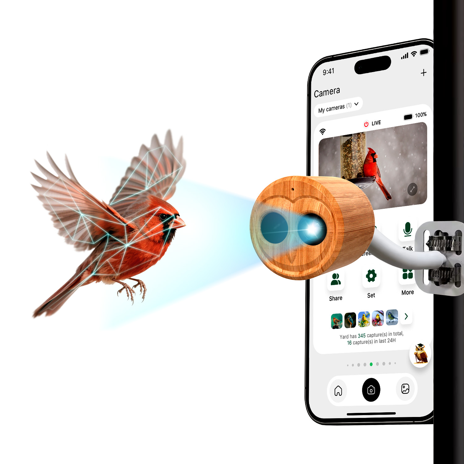 Умная кормушка для птиц 4K с к – обзор и цена Smart Bird Feeder Camera