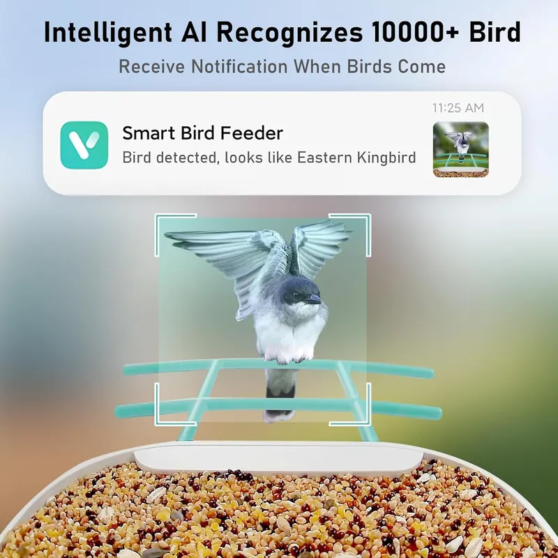 Умная кормушка для птиц с каме – обзор и цена Smart Garden Ai