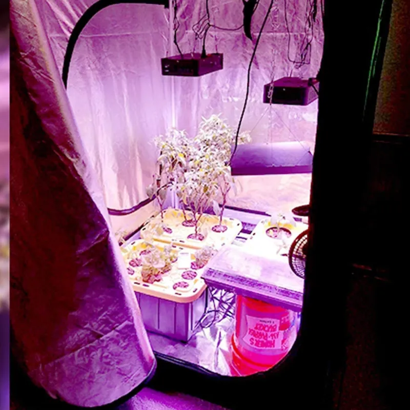 Гидропонная теплица ROHE 100x1 – обзор и цена Grow Tent Complete Kit