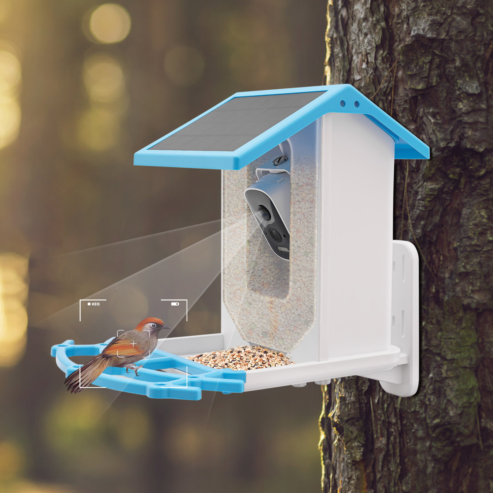 Умная кормушка для птиц на сол – обзор и цена Smart Garden Ai