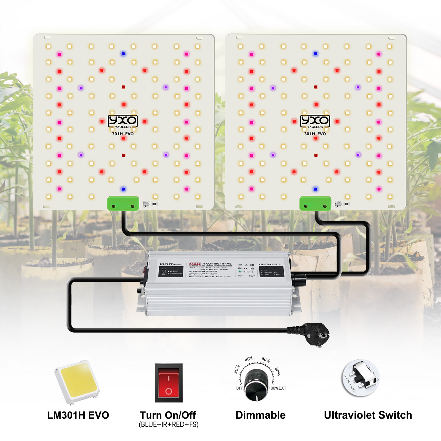 85 Вт 180 Вт LM301H EVO Quantu – обзор и цена Grow Tent Complete Kit