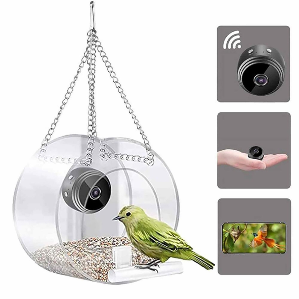 Кормушка для птиц с HD-камерой – обзор и цена Smart Bird Feeder Camera
