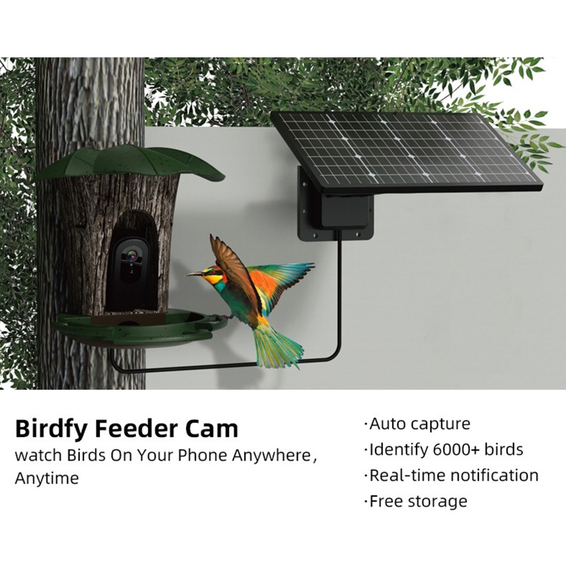 Умная кормушка для птиц с иску – обзор и цена Smart Garden Ai