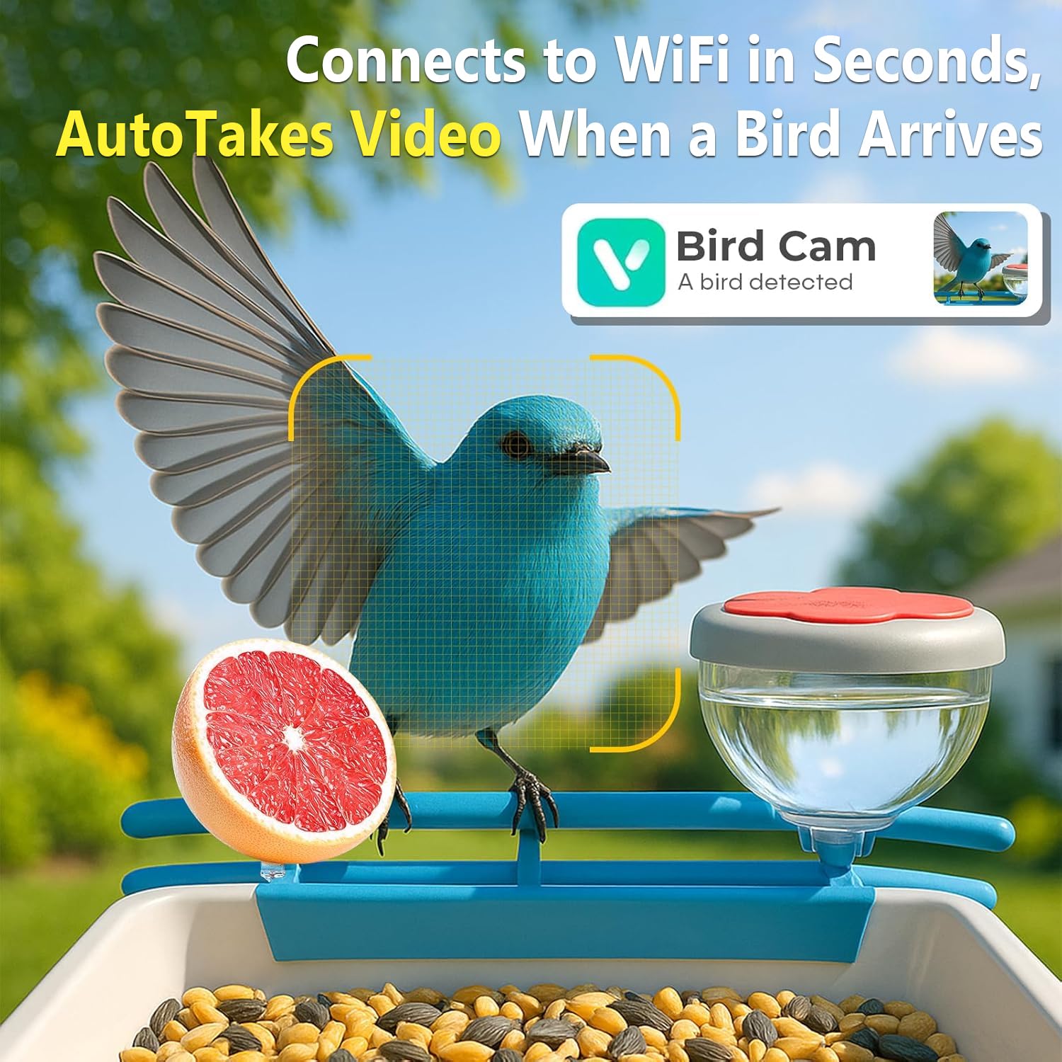 Умная камера-кормушка для птиц – обзор и цена Smart Bird Feeder Camera