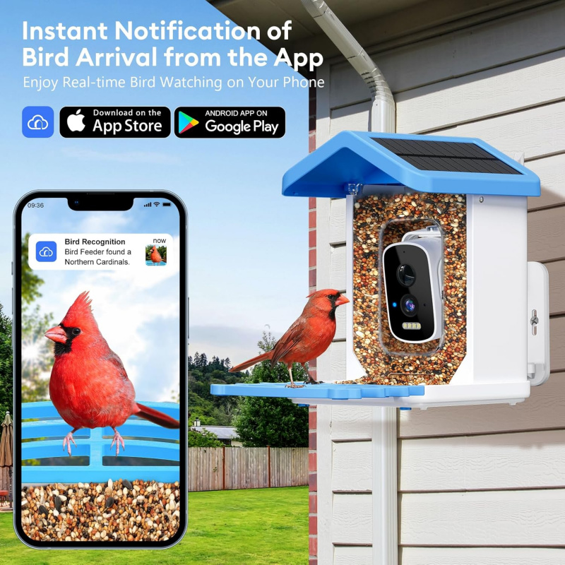 Умная кормушка для птиц с Wi-F – обзор и цена Smart Garden Ai