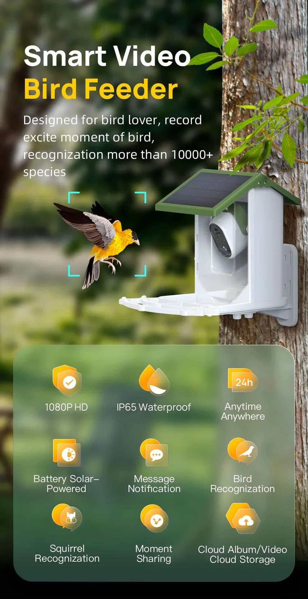 Хит продаж: трансграничная кор – обзор и цена Smart Bird Feeder Camera